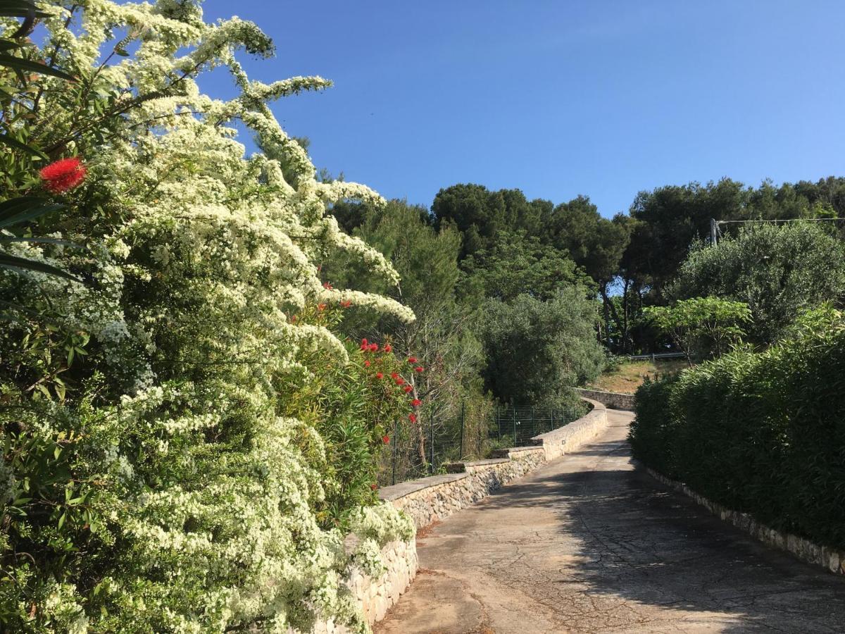 Vila Il Quieto Uliveto Ostuni Exteriér fotografie