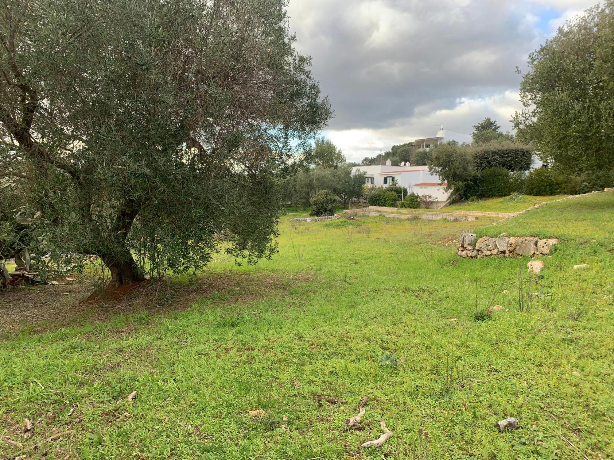 Vila Il Quieto Uliveto Ostuni Exteriér fotografie